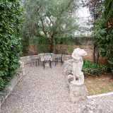 ..., con cycas, bassi arbusti e silenziosi salottini